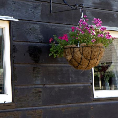 De Schaapskooi - Knus Veluws Vakantiehuisje Ede Exterior foto